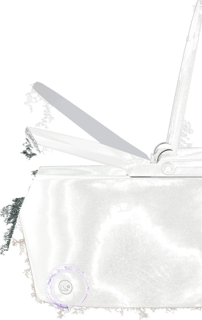 Forno Acqua Luxurious Super Smart Toilet, Includes Bidet, Heated Seat, Auto Flush, Auto Lid, Powerful Flush, Ideal for Master Bathrooms (CSTE01)