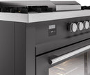 ILVE 60-Inch Professional Plus II Freestanding Dual Fuel Range with 7 Gas Burner and Removable Griddle in in Matte Graphite (UP60FSWMPMG)
