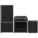 Forno 3-Piece Appliance Package - 30-Inch Leonardo Espresso Electric Range, Refrigerator, & Dishwasher in Black with Stainless Steel Handle (FBDL-007-02CA)