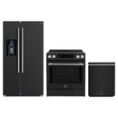 Forno Espresso 3-Piece Appliance Package - 30-Inch Donatello Induction Range, Refrigerator with Water Dispenser and Dishwasher in Black with Stainless Steel Trim