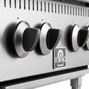 Forno Commerciale 24-Inch Gas Hotplate in Stainless Steel (FCMHP0079-24)