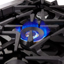 Forno Massimo 30-Inch French Door Gas Range in Stainless Steel (FFSGS6439-30)