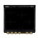 Forno 3-Piece Appliance Package - 30-Inch Induction Range, French Door Refrigerator, and Dishwasher in Black with Antique Brass Trim