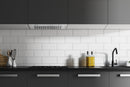 Hauslane 30-Inch 450 CFM Convertible Built-In Range Hood Insert with Stainless Steel Filters (IN-R100SS-30)