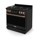 Gordon Ramsay by Thor Kitchen 3-Piece Appliance Package - 36-Inch Gas Range with Liquid Propane Kit, Tilt Panel, 36-Inch Refrigerator, and Dishwasher in Black with Rose Gold Trim