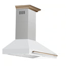 Forno Aria 60-Inch Wall Mount Range Hood in White with Brass Handle (FRHWM5095-60WHT)