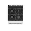 Thor Kitchen 24-inch S-Series gas range SRG2401 in stainless steel