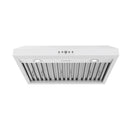 Thor Kitchen 30-Inch 480 CFM Convertible Under Cabinet Range Hood with Baffle Filters in White (TUH3048W)