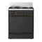 ILVE Majestic III 30-inch Dual Fuel Range with 5 Natural Gas Burner and Solid Door Electric Oven in Graphite Matte with Burnished Trim (UM30QNR3MGB)