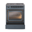 Blue-grey dual fuel range with closed triple-glass oven door and control knobs