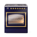 Midnight blue dual fuel range with brass-trim triple glass oven door.