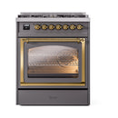 Dual fuel range with matte graphite body, brass-trimmed oven door, burners above.