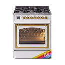 Dual-fuel range with brass-framed oven glass and stainless front panel