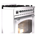 Stainless steel dual fuel range with chrome rail, control panel, and lit oven window