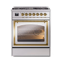 Stainless steel oven with triple glass door and brass handle trim, interior racks visible