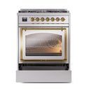 Stainless steel dual fuel range with triple glass oven door and brass trim handle