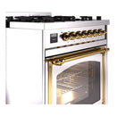 Stainless range controls and brass rail above open oven with glass window