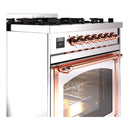 Stainless steel dual fuel range front with control knobs, copper rail, and oven window