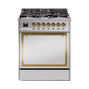 Stainless steel dual fuel gas range with brass trim and solid oven door