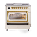 Dual fuel range with closed oven window, brass trim, and gold control knobs
