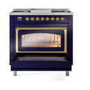 Midnight blue dual fuel range with brass-trim oven door and large glass window