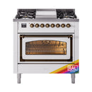 Dual fuel gas range with lit oven window and RAL color badge