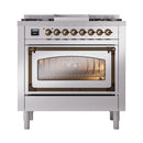 Stainless steel dual fuel range with bronze-trimmed oven door and control panel knobs
