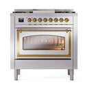 Stainless steel dual fuel range with brass-trimmed glass oven door and control panel