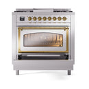 Stainless steel dual fuel range with open oven door and brass-trim window; front view