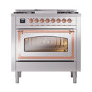 Stainless steel dual fuel range with copper trim and oven door with glass window