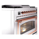 Stainless steel range side view with copper control bar and glass oven door