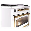 ILVE dual-fuel range control panel and brass oven handle with glass door