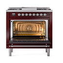 Burgundy dual-fuel range with chrome-trim control panel and open oven door