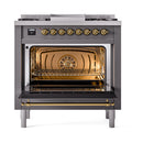 ILVE dual fuel range with open solid door and brass-lined oven cavity