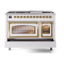 Dual fuel range front view with brass-trimmed oven windows and top burner controls