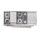 Cutaway of emerald dual fuel range showing burners and a large circular cooktop element.