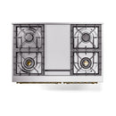 Stainless steel dual-fuel range cooktop with four burner grates and central control panel