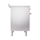 Solid oven door panel for stainless steel induction range with copper handle accents