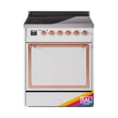 Induction range oven door with viewing window and copper trim, RAL label