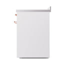 White end panel of induction range with copper trim accents
