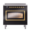 Black ILVE induction range front with brass knobs and oven door with window