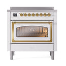 Front view induction range with brass-framed glass oven door and metallic control knobs