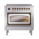 Stainless steel induction range with triple glass door and bronze-trimmed oven opening