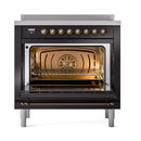 Built-in induction oven with bronze interior, racks, and glossy black door frame