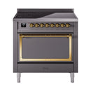 Matte graphite induction range with closed solid door, brass handle, control panel
