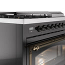 Glossy black dual fuel range with brass-trim knobs and windowed triple ovens