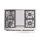 Dual fuel range rear burner layout with black cast-iron grates and center panel