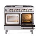Stainless steel oven doors open on a dual-fuel range, showing interior racks and burners