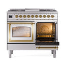 Stainless steel range with brass trim, left oven open and right oven door closed