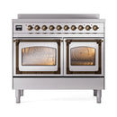 Stainless steel induction range with bronze-trim knobs and two glass oven doors